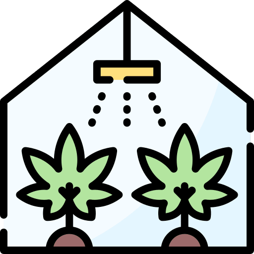 Greenhouse leaf hemp weed icon