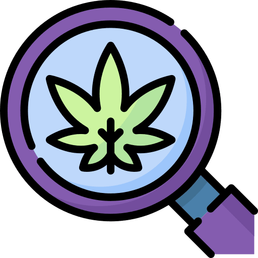 Magnifying glass magnifying glass marijuana leaf icon
