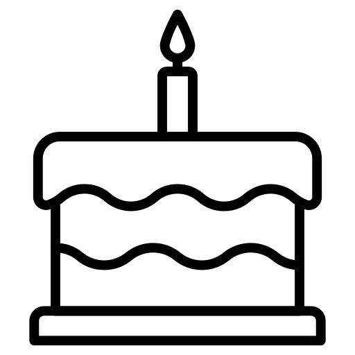 Cake party birthday cake candle icon