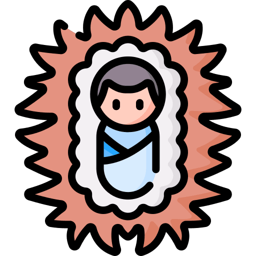 Jesus baby jesus manger icon