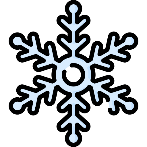 Snowflake snow nature flake icon