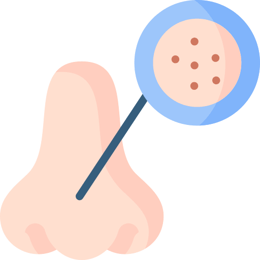 Blackhead blackhead nose mole icon