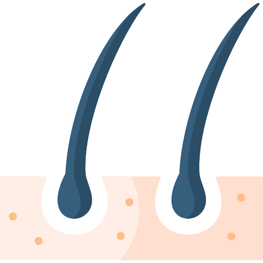 Hair dermis beauty hair icon