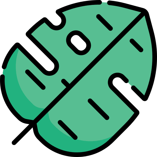 Monstera leaf exotic monstera leaf flower icon