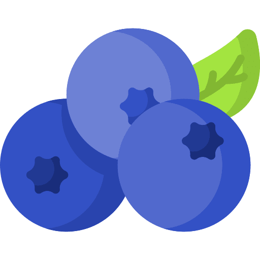 Blueberry vegan fruit healthy food icon