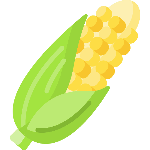 Corn food and restaurant healthy food corn icon