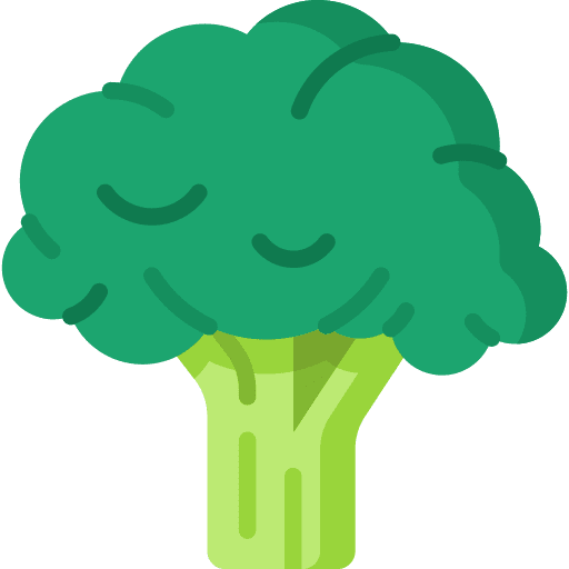 Broccoli ingredient diet food icon