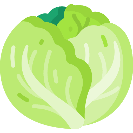 Cabbage cabbage fruit healthy food icon