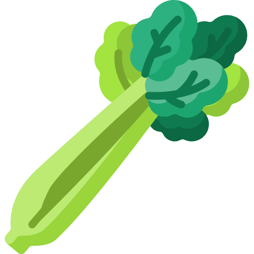 Celery vegetable food food and restaurant icon