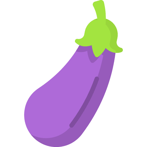 Eggplant vegetable vegetarian healthy food icon