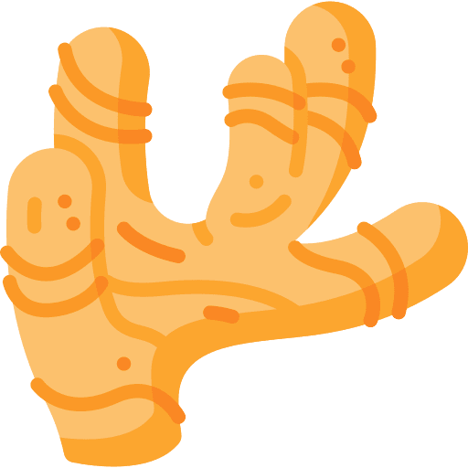 Ginger ginger healthy food food and restaurant icon