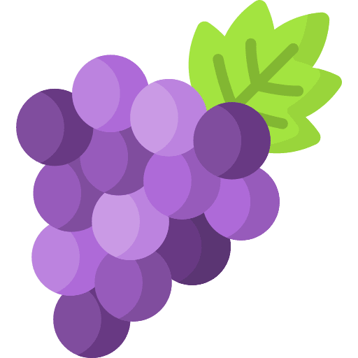 Grape food and restaurant berries viburnum fruit icon