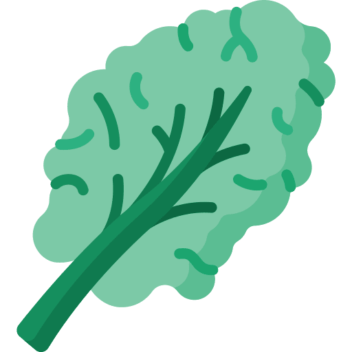 Kale healthy food vegetarian salad icon