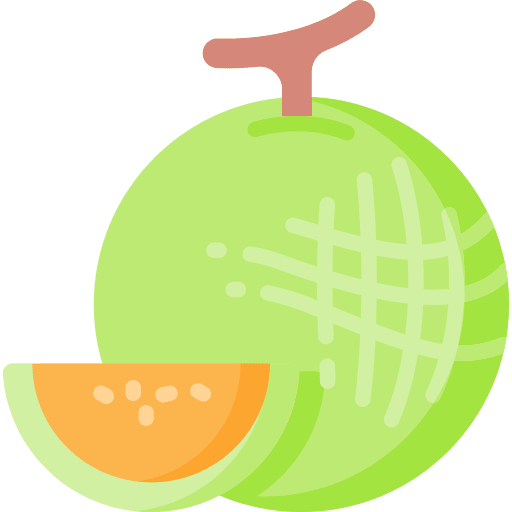 Melon slice healthy food vegan icon