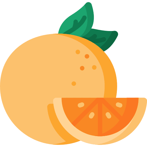 Orange fast food food and restaurant viburnum fruit icon