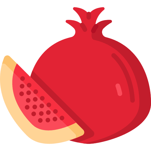Pomegranate food and restaurant organic vegetarian icon