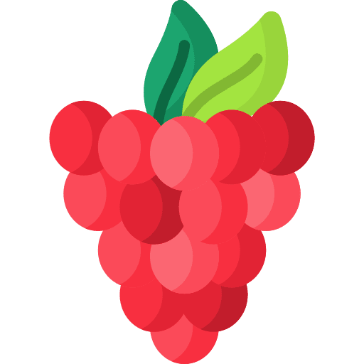 Raspberry healthy food food and restaurant organic icon