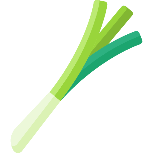 Spring onion healthy food diet food icon