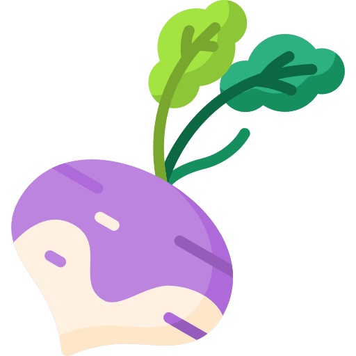 Turnip vegetable organic food and restaurant icon