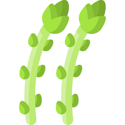 Asparagus asparagus healthy food healthy icon