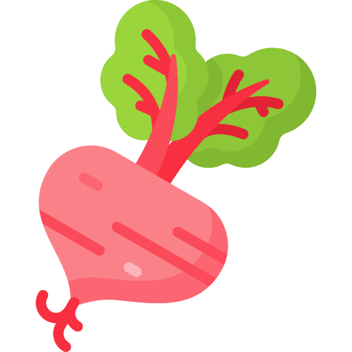 Beetroot food diet food and restaurant icon