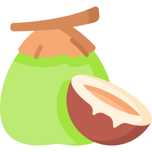 Coconut food vegetarian coconut icon