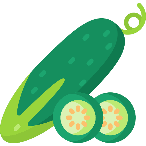 Cucumber nutrition healthy food vegan icon