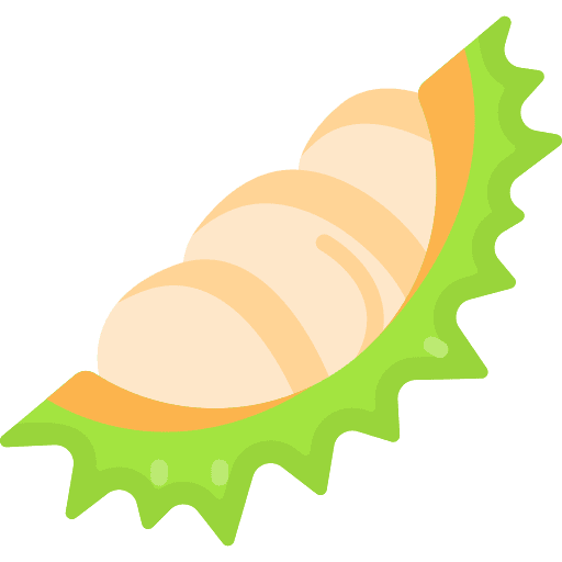 Durian fruit durian organic icon