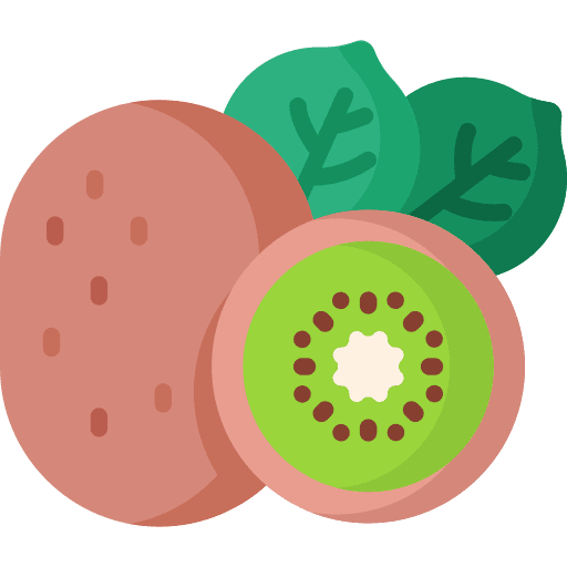 Kiwi kiwi diet vegan icon