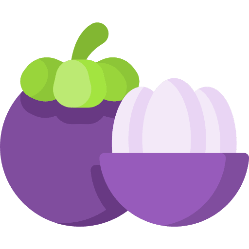 Mangosteen food cut vegetarian icon