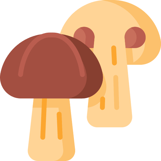 Mushrooms diet vegan mushrooms icon