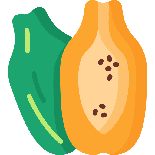 Papaya food and restaurant organic diet icon