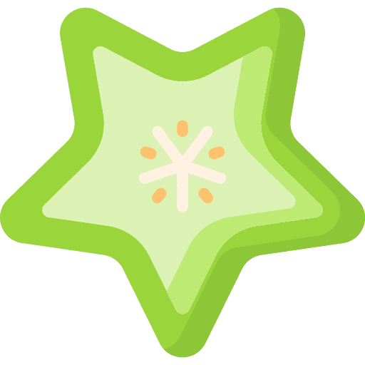 Starfruit vitamin healthy food slice icon
