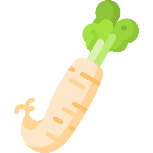 Radish nature diet vegetable icon