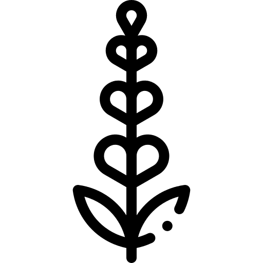 Lavender blossom essence flower icon