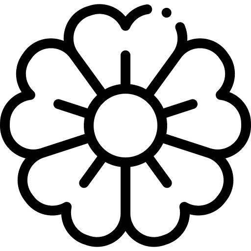 Sakura petals sakura flower icon