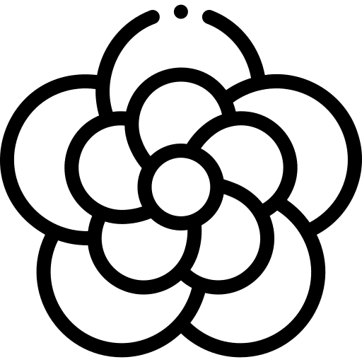 Clematis clematis petals botanical icon