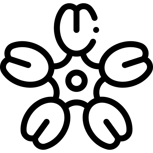 Gallardia nature botanical blossom icon