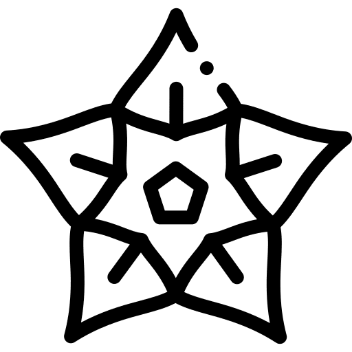 Hoya petals flower blossom icon