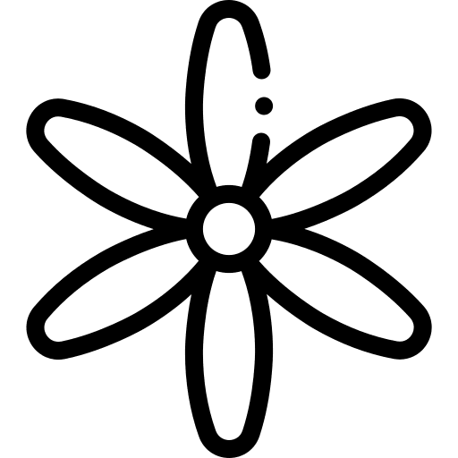 Jasmine jasmine nature botanical icon