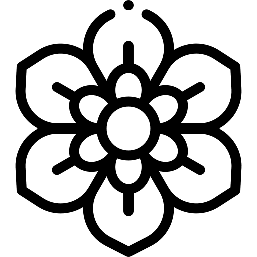 Moon petals african flower icon