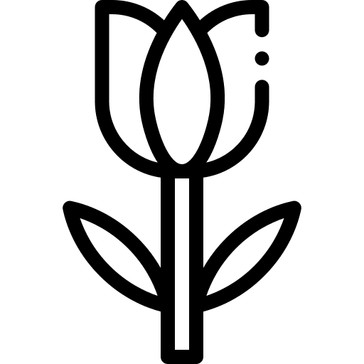 Tulip flower petals blossom icon