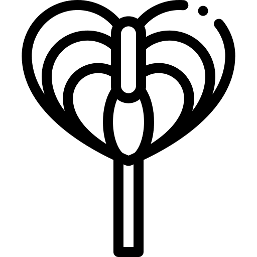 Anthurium anthurium petals flower icon