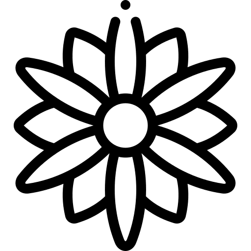 Jasmine botanical flower blossom icon