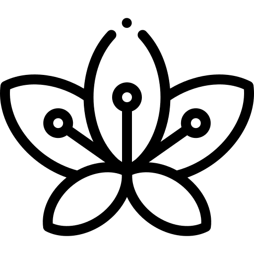 Lily lily botanical petals icon