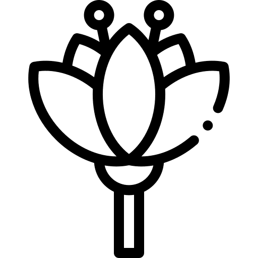 Lotus flower botanical nature icon