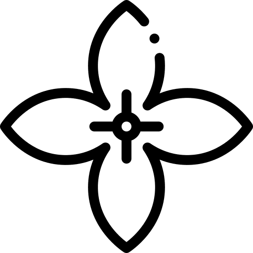 Madder petals nature botanical icon