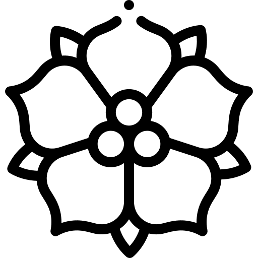 Poinsettia poinsettia nature flower icon