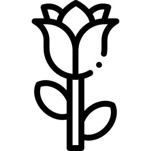 Rose petals flower botanical icon