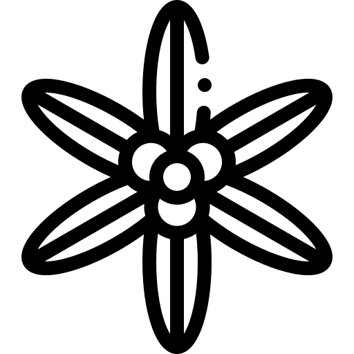 Sisyrinchium flower petals nature icon